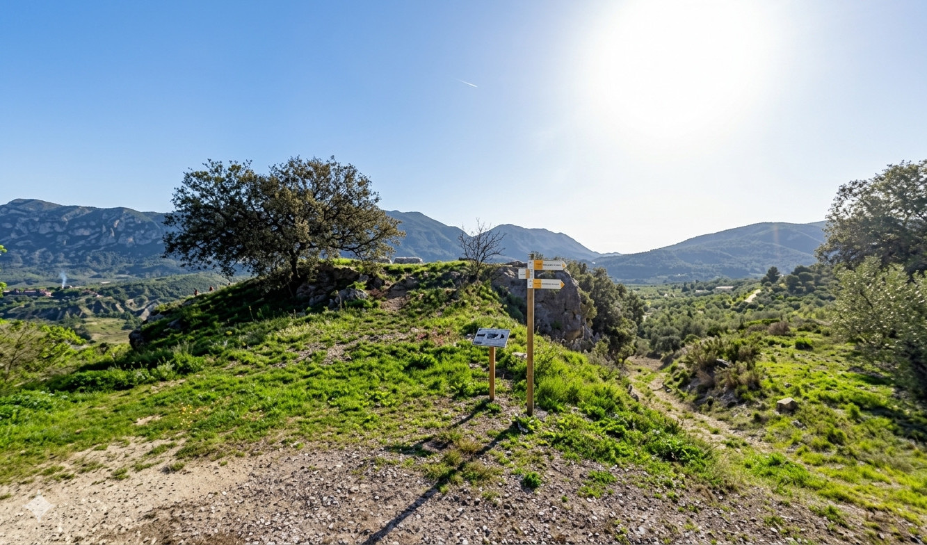 Imagen del establecimiento